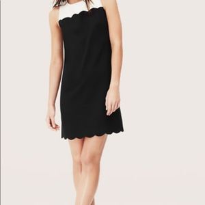 Ann Taylor loft scallop dress size 8.